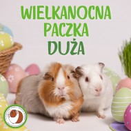 Duży Wielkanocny Koszyczek dla SPŚM - paczka_duza.png